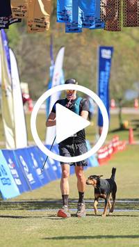 BIB:  <button type="button" onclick="openModal(26672681)" class="btn btn-primary btn-sm float-right" data-toggle="modal" data-target=".modal-high-quality">
                <i class="fa fa-download"></i> Download
                </button>