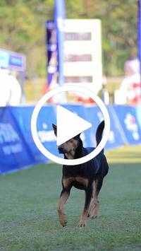 BIB:  <button type="button" onclick="openModal(26675883)" class="btn btn-primary btn-sm float-right" data-toggle="modal" data-target=".modal-high-quality">
                <i class="fa fa-download"></i> Download
                </button>