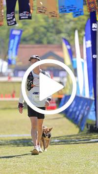 BIB:  <button type="button" onclick="openModal(26645798)" class="btn btn-primary btn-sm float-right" data-toggle="modal" data-target=".modal-high-quality">
                <i class="fa fa-download"></i> Download
                </button>