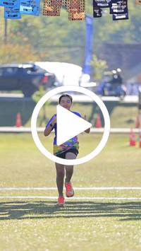 BIB:  <button type="button" onclick="openModal(26643783)" class="btn btn-primary btn-sm float-right" data-toggle="modal" data-target=".modal-high-quality">
                <i class="fa fa-download"></i> Download
                </button>