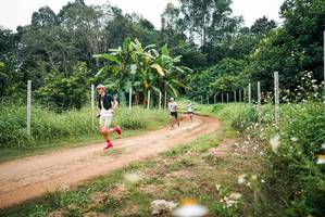 BIB: 
                            <button type="button" onclick="openModal(26842084)" class="btn btn-primary btn-sm float-right btn-popup" data-toggle="modal" data-target=".modal-high-quality">
                        <i class="fas fa-shopping-cart"></i> Add to Cart
                    </button>
                                            <button type="button" onclick="isThisMe(26842084, true)" class="btn btn-success btn-sm float-right btn-popup btn-isme hidden" data-toggle="tooltip" data-placement="bottom" title="นี่คือรูปของคุณใช่ไหม คลิกที่นี่เพื่อเอาเข้าอัลบั้ม">
                        <i class="fas fa-plus"></i> Add to album
                    </button>
                    <button type="button" onclick="isThisMe(26842084, false)" class="btn btn-warning btn-sm float-right btn-popup btn-isnotme hidden">
                        <i class="fas fa-ban"></i> Remove from album
                    </button>