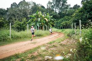 BIB: 
                            <button type="button" onclick="openModal(26842085)" class="btn btn-primary btn-sm float-right btn-popup" data-toggle="modal" data-target=".modal-high-quality">
                        <i class="fas fa-shopping-cart"></i> Add to Cart
                    </button>
                                            <button type="button" onclick="isThisMe(26842085, true)" class="btn btn-success btn-sm float-right btn-popup btn-isme hidden" data-toggle="tooltip" data-placement="bottom" title="นี่คือรูปของคุณใช่ไหม คลิกที่นี่เพื่อเอาเข้าอัลบั้ม">
                        <i class="fas fa-plus"></i> Add to album
                    </button>
                    <button type="button" onclick="isThisMe(26842085, false)" class="btn btn-warning btn-sm float-right btn-popup btn-isnotme hidden">
                        <i class="fas fa-ban"></i> Remove from album
                    </button>