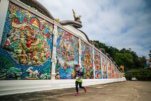 BIB: 
                            <button type="button" onclick="openModal(26947267)" class="btn btn-primary btn-sm float-right btn-popup" data-toggle="modal" data-target=".modal-high-quality">
                        <i class="fas fa-shopping-cart"></i> Add to Cart
                    </button>
                                            <button type="button" onclick="isThisMe(26947267, true)" class="btn btn-success btn-sm float-right btn-popup btn-isme hidden" data-toggle="tooltip" data-placement="bottom" title="นี่คือรูปของคุณใช่ไหม คลิกที่นี่เพื่อเอาเข้าอัลบั้ม">
                        <i class="fas fa-plus"></i> Add to album
                    </button>
                    <button type="button" onclick="isThisMe(26947267, false)" class="btn btn-warning btn-sm float-right btn-popup btn-isnotme hidden">
                        <i class="fas fa-ban"></i> Remove from album
                    </button>