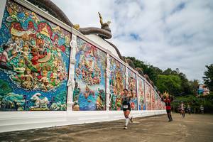 BIB: 
                            <button type="button" onclick="openModal(26947879)" class="btn btn-primary btn-sm float-right btn-popup" data-toggle="modal" data-target=".modal-high-quality">
                        <i class="fas fa-shopping-cart"></i> Add to Cart
                    </button>
                                            <button type="button" onclick="isThisMe(26947879, true)" class="btn btn-success btn-sm float-right btn-popup btn-isme hidden" data-toggle="tooltip" data-placement="bottom" title="นี่คือรูปของคุณใช่ไหม คลิกที่นี่เพื่อเอาเข้าอัลบั้ม">
                        <i class="fas fa-plus"></i> Add to album
                    </button>
                    <button type="button" onclick="isThisMe(26947879, false)" class="btn btn-warning btn-sm float-right btn-popup btn-isnotme hidden">
                        <i class="fas fa-ban"></i> Remove from album
                    </button>