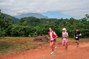 BIB: 
                            <button type="button" onclick="openModal(26853637)" class="btn btn-primary btn-sm float-right btn-popup" data-toggle="modal" data-target=".modal-high-quality">
                        <i class="fas fa-shopping-cart"></i> Add to Cart
                    </button>
                                            <button type="button" onclick="isThisMe(26853637, true)" class="btn btn-success btn-sm float-right btn-popup btn-isme hidden" data-toggle="tooltip" data-placement="bottom" title="นี่คือรูปของคุณใช่ไหม คลิกที่นี่เพื่อเอาเข้าอัลบั้ม">
                        <i class="fas fa-plus"></i> Add to album
                    </button>
                    <button type="button" onclick="isThisMe(26853637, false)" class="btn btn-warning btn-sm float-right btn-popup btn-isnotme hidden">
                        <i class="fas fa-ban"></i> Remove from album
                    </button>