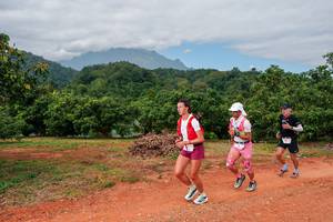 BIB: 
                            <button type="button" onclick="openModal(26853636)" class="btn btn-primary btn-sm float-right btn-popup" data-toggle="modal" data-target=".modal-high-quality">
                        <i class="fas fa-shopping-cart"></i> Add to Cart
                    </button>
                                            <button type="button" onclick="isThisMe(26853636, true)" class="btn btn-success btn-sm float-right btn-popup btn-isme hidden" data-toggle="tooltip" data-placement="bottom" title="นี่คือรูปของคุณใช่ไหม คลิกที่นี่เพื่อเอาเข้าอัลบั้ม">
                        <i class="fas fa-plus"></i> Add to album
                    </button>
                    <button type="button" onclick="isThisMe(26853636, false)" class="btn btn-warning btn-sm float-right btn-popup btn-isnotme hidden">
                        <i class="fas fa-ban"></i> Remove from album
                    </button>