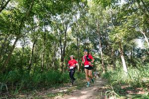 BIB: 
                            <button type="button" onclick="openModal(27271939)" class="btn btn-primary btn-sm float-right btn-popup" data-toggle="modal" data-target=".modal-high-quality">
                        <i class="fas fa-shopping-cart"></i> Add to Cart
                    </button>
                                            <button type="button" onclick="isThisMe(27271939, true)" class="btn btn-success btn-sm float-right btn-popup btn-isme hidden" data-toggle="tooltip" data-placement="bottom" title="นี่คือรูปของคุณใช่ไหม คลิกที่นี่เพื่อเอาเข้าอัลบั้ม">
                        <i class="fas fa-plus"></i> Add to album
                    </button>
                    <button type="button" onclick="isThisMe(27271939, false)" class="btn btn-warning btn-sm float-right btn-popup btn-isnotme hidden">
                        <i class="fas fa-ban"></i> Remove from album
                    </button>