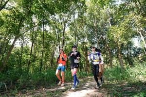 BIB: 
                            <button type="button" onclick="openModal(27275867)" class="btn btn-primary btn-sm float-right btn-popup" data-toggle="modal" data-target=".modal-high-quality">
                        <i class="fas fa-shopping-cart"></i> Add to Cart
                    </button>
                                            <button type="button" onclick="isThisMe(27275867, true)" class="btn btn-success btn-sm float-right btn-popup btn-isme hidden" data-toggle="tooltip" data-placement="bottom" title="นี่คือรูปของคุณใช่ไหม คลิกที่นี่เพื่อเอาเข้าอัลบั้ม">
                        <i class="fas fa-plus"></i> Add to album
                    </button>
                    <button type="button" onclick="isThisMe(27275867, false)" class="btn btn-warning btn-sm float-right btn-popup btn-isnotme hidden">
                        <i class="fas fa-ban"></i> Remove from album
                    </button>