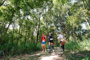 BIB: 
                            <button type="button" onclick="openModal(27275855)" class="btn btn-primary btn-sm float-right btn-popup" data-toggle="modal" data-target=".modal-high-quality">
                        <i class="fas fa-shopping-cart"></i> Add to Cart
                    </button>
                                            <button type="button" onclick="isThisMe(27275855, true)" class="btn btn-success btn-sm float-right btn-popup btn-isme hidden" data-toggle="tooltip" data-placement="bottom" title="นี่คือรูปของคุณใช่ไหม คลิกที่นี่เพื่อเอาเข้าอัลบั้ม">
                        <i class="fas fa-plus"></i> Add to album
                    </button>
                    <button type="button" onclick="isThisMe(27275855, false)" class="btn btn-warning btn-sm float-right btn-popup btn-isnotme hidden">
                        <i class="fas fa-ban"></i> Remove from album
                    </button>