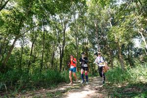 BIB: 
                            <button type="button" onclick="openModal(27275848)" class="btn btn-primary btn-sm float-right btn-popup" data-toggle="modal" data-target=".modal-high-quality">
                        <i class="fas fa-shopping-cart"></i> Add to Cart
                    </button>
                                            <button type="button" onclick="isThisMe(27275848, true)" class="btn btn-success btn-sm float-right btn-popup btn-isme hidden" data-toggle="tooltip" data-placement="bottom" title="นี่คือรูปของคุณใช่ไหม คลิกที่นี่เพื่อเอาเข้าอัลบั้ม">
                        <i class="fas fa-plus"></i> Add to album
                    </button>
                    <button type="button" onclick="isThisMe(27275848, false)" class="btn btn-warning btn-sm float-right btn-popup btn-isnotme hidden">
                        <i class="fas fa-ban"></i> Remove from album
                    </button>