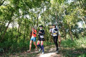 BIB: 
                            <button type="button" onclick="openModal(27275879)" class="btn btn-primary btn-sm float-right btn-popup" data-toggle="modal" data-target=".modal-high-quality">
                        <i class="fas fa-shopping-cart"></i> Add to Cart
                    </button>
                                            <button type="button" onclick="isThisMe(27275879, true)" class="btn btn-success btn-sm float-right btn-popup btn-isme hidden" data-toggle="tooltip" data-placement="bottom" title="นี่คือรูปของคุณใช่ไหม คลิกที่นี่เพื่อเอาเข้าอัลบั้ม">
                        <i class="fas fa-plus"></i> Add to album
                    </button>
                    <button type="button" onclick="isThisMe(27275879, false)" class="btn btn-warning btn-sm float-right btn-popup btn-isnotme hidden">
                        <i class="fas fa-ban"></i> Remove from album
                    </button>