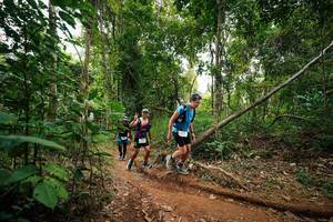 BIB: 
                            <button type="button" onclick="openModal(26812825)" class="btn btn-primary btn-sm float-right btn-popup" data-toggle="modal" data-target=".modal-high-quality">
                        <i class="fas fa-shopping-cart"></i> Add to Cart
                    </button>
                                            <button type="button" onclick="isThisMe(26812825, true)" class="btn btn-success btn-sm float-right btn-popup btn-isme hidden" data-toggle="tooltip" data-placement="bottom" title="นี่คือรูปของคุณใช่ไหม คลิกที่นี่เพื่อเอาเข้าอัลบั้ม">
                        <i class="fas fa-plus"></i> Add to album
                    </button>
                    <button type="button" onclick="isThisMe(26812825, false)" class="btn btn-warning btn-sm float-right btn-popup btn-isnotme hidden">
                        <i class="fas fa-ban"></i> Remove from album
                    </button>