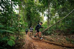 BIB: 
                            <button type="button" onclick="openModal(26812366)" class="btn btn-primary btn-sm float-right btn-popup" data-toggle="modal" data-target=".modal-high-quality">
                        <i class="fas fa-shopping-cart"></i> Add to Cart
                    </button>
                                            <button type="button" onclick="isThisMe(26812366, true)" class="btn btn-success btn-sm float-right btn-popup btn-isme hidden" data-toggle="tooltip" data-placement="bottom" title="นี่คือรูปของคุณใช่ไหม คลิกที่นี่เพื่อเอาเข้าอัลบั้ม">
                        <i class="fas fa-plus"></i> Add to album
                    </button>
                    <button type="button" onclick="isThisMe(26812366, false)" class="btn btn-warning btn-sm float-right btn-popup btn-isnotme hidden">
                        <i class="fas fa-ban"></i> Remove from album
                    </button>