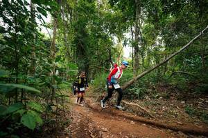 BIB: 
                            <button type="button" onclick="openModal(26812940)" class="btn btn-primary btn-sm float-right btn-popup" data-toggle="modal" data-target=".modal-high-quality">
                        <i class="fas fa-shopping-cart"></i> Add to Cart
                    </button>
                                            <button type="button" onclick="isThisMe(26812940, true)" class="btn btn-success btn-sm float-right btn-popup btn-isme hidden" data-toggle="tooltip" data-placement="bottom" title="นี่คือรูปของคุณใช่ไหม คลิกที่นี่เพื่อเอาเข้าอัลบั้ม">
                        <i class="fas fa-plus"></i> Add to album
                    </button>
                    <button type="button" onclick="isThisMe(26812940, false)" class="btn btn-warning btn-sm float-right btn-popup btn-isnotme hidden">
                        <i class="fas fa-ban"></i> Remove from album
                    </button>