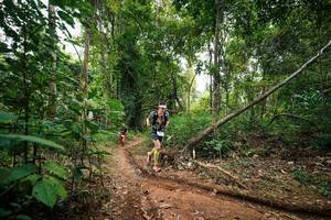 BIB: 
                            <button type="button" onclick="openModal(26808873)" class="btn btn-primary btn-sm float-right btn-popup" data-toggle="modal" data-target=".modal-high-quality">
                        <i class="fas fa-shopping-cart"></i> Add to Cart
                    </button>
                                            <button type="button" onclick="isThisMe(26808873, true)" class="btn btn-success btn-sm float-right btn-popup btn-isme hidden" data-toggle="tooltip" data-placement="bottom" title="นี่คือรูปของคุณใช่ไหม คลิกที่นี่เพื่อเอาเข้าอัลบั้ม">
                        <i class="fas fa-plus"></i> Add to album
                    </button>
                    <button type="button" onclick="isThisMe(26808873, false)" class="btn btn-warning btn-sm float-right btn-popup btn-isnotme hidden">
                        <i class="fas fa-ban"></i> Remove from album
                    </button>