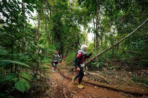 BIB: 
                            <button type="button" onclick="openModal(26812099)" class="btn btn-primary btn-sm float-right btn-popup" data-toggle="modal" data-target=".modal-high-quality">
                        <i class="fas fa-shopping-cart"></i> Add to Cart
                    </button>
                                            <button type="button" onclick="isThisMe(26812099, true)" class="btn btn-success btn-sm float-right btn-popup btn-isme hidden" data-toggle="tooltip" data-placement="bottom" title="นี่คือรูปของคุณใช่ไหม คลิกที่นี่เพื่อเอาเข้าอัลบั้ม">
                        <i class="fas fa-plus"></i> Add to album
                    </button>
                    <button type="button" onclick="isThisMe(26812099, false)" class="btn btn-warning btn-sm float-right btn-popup btn-isnotme hidden">
                        <i class="fas fa-ban"></i> Remove from album
                    </button>