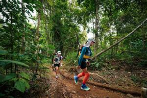 BIB: 
                            <button type="button" onclick="openModal(26812296)" class="btn btn-primary btn-sm float-right btn-popup" data-toggle="modal" data-target=".modal-high-quality">
                        <i class="fas fa-shopping-cart"></i> Add to Cart
                    </button>
                                            <button type="button" onclick="isThisMe(26812296, true)" class="btn btn-success btn-sm float-right btn-popup btn-isme hidden" data-toggle="tooltip" data-placement="bottom" title="นี่คือรูปของคุณใช่ไหม คลิกที่นี่เพื่อเอาเข้าอัลบั้ม">
                        <i class="fas fa-plus"></i> Add to album
                    </button>
                    <button type="button" onclick="isThisMe(26812296, false)" class="btn btn-warning btn-sm float-right btn-popup btn-isnotme hidden">
                        <i class="fas fa-ban"></i> Remove from album
                    </button>