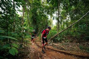 BIB: 
                            <button type="button" onclick="openModal(26811768)" class="btn btn-primary btn-sm float-right btn-popup" data-toggle="modal" data-target=".modal-high-quality">
                        <i class="fas fa-shopping-cart"></i> Add to Cart
                    </button>
                                            <button type="button" onclick="isThisMe(26811768, true)" class="btn btn-success btn-sm float-right btn-popup btn-isme hidden" data-toggle="tooltip" data-placement="bottom" title="นี่คือรูปของคุณใช่ไหม คลิกที่นี่เพื่อเอาเข้าอัลบั้ม">
                        <i class="fas fa-plus"></i> Add to album
                    </button>
                    <button type="button" onclick="isThisMe(26811768, false)" class="btn btn-warning btn-sm float-right btn-popup btn-isnotme hidden">
                        <i class="fas fa-ban"></i> Remove from album
                    </button>