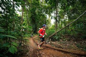 BIB: 
                            <button type="button" onclick="openModal(26811014)" class="btn btn-primary btn-sm float-right btn-popup" data-toggle="modal" data-target=".modal-high-quality">
                        <i class="fas fa-shopping-cart"></i> Add to Cart
                    </button>
                                            <button type="button" onclick="isThisMe(26811014, true)" class="btn btn-success btn-sm float-right btn-popup btn-isme hidden" data-toggle="tooltip" data-placement="bottom" title="นี่คือรูปของคุณใช่ไหม คลิกที่นี่เพื่อเอาเข้าอัลบั้ม">
                        <i class="fas fa-plus"></i> Add to album
                    </button>
                    <button type="button" onclick="isThisMe(26811014, false)" class="btn btn-warning btn-sm float-right btn-popup btn-isnotme hidden">
                        <i class="fas fa-ban"></i> Remove from album
                    </button>