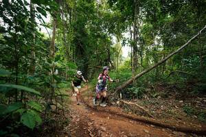 BIB: 
                            <button type="button" onclick="openModal(26810609)" class="btn btn-primary btn-sm float-right btn-popup" data-toggle="modal" data-target=".modal-high-quality">
                        <i class="fas fa-shopping-cart"></i> Add to Cart
                    </button>
                                            <button type="button" onclick="isThisMe(26810609, true)" class="btn btn-success btn-sm float-right btn-popup btn-isme hidden" data-toggle="tooltip" data-placement="bottom" title="นี่คือรูปของคุณใช่ไหม คลิกที่นี่เพื่อเอาเข้าอัลบั้ม">
                        <i class="fas fa-plus"></i> Add to album
                    </button>
                    <button type="button" onclick="isThisMe(26810609, false)" class="btn btn-warning btn-sm float-right btn-popup btn-isnotme hidden">
                        <i class="fas fa-ban"></i> Remove from album
                    </button>