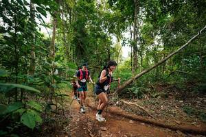 BIB: 
                            <button type="button" onclick="openModal(26812872)" class="btn btn-primary btn-sm float-right btn-popup" data-toggle="modal" data-target=".modal-high-quality">
                        <i class="fas fa-shopping-cart"></i> Add to Cart
                    </button>
                                            <button type="button" onclick="isThisMe(26812872, true)" class="btn btn-success btn-sm float-right btn-popup btn-isme hidden" data-toggle="tooltip" data-placement="bottom" title="นี่คือรูปของคุณใช่ไหม คลิกที่นี่เพื่อเอาเข้าอัลบั้ม">
                        <i class="fas fa-plus"></i> Add to album
                    </button>
                    <button type="button" onclick="isThisMe(26812872, false)" class="btn btn-warning btn-sm float-right btn-popup btn-isnotme hidden">
                        <i class="fas fa-ban"></i> Remove from album
                    </button>