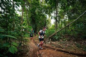 BIB: 
                            <button type="button" onclick="openModal(26809131)" class="btn btn-primary btn-sm float-right btn-popup" data-toggle="modal" data-target=".modal-high-quality">
                        <i class="fas fa-shopping-cart"></i> Add to Cart
                    </button>
                                            <button type="button" onclick="isThisMe(26809131, true)" class="btn btn-success btn-sm float-right btn-popup btn-isme hidden" data-toggle="tooltip" data-placement="bottom" title="นี่คือรูปของคุณใช่ไหม คลิกที่นี่เพื่อเอาเข้าอัลบั้ม">
                        <i class="fas fa-plus"></i> Add to album
                    </button>
                    <button type="button" onclick="isThisMe(26809131, false)" class="btn btn-warning btn-sm float-right btn-popup btn-isnotme hidden">
                        <i class="fas fa-ban"></i> Remove from album
                    </button>