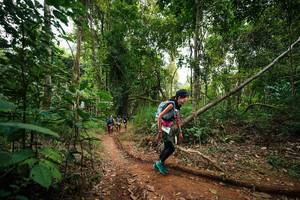 BIB: 
                            <button type="button" onclick="openModal(26810546)" class="btn btn-primary btn-sm float-right btn-popup" data-toggle="modal" data-target=".modal-high-quality">
                        <i class="fas fa-shopping-cart"></i> Add to Cart
                    </button>
                                            <button type="button" onclick="isThisMe(26810546, true)" class="btn btn-success btn-sm float-right btn-popup btn-isme hidden" data-toggle="tooltip" data-placement="bottom" title="นี่คือรูปของคุณใช่ไหม คลิกที่นี่เพื่อเอาเข้าอัลบั้ม">
                        <i class="fas fa-plus"></i> Add to album
                    </button>
                    <button type="button" onclick="isThisMe(26810546, false)" class="btn btn-warning btn-sm float-right btn-popup btn-isnotme hidden">
                        <i class="fas fa-ban"></i> Remove from album
                    </button>