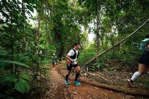 BIB: 
                            <button type="button" onclick="openModal(26810377)" class="btn btn-primary btn-sm float-right btn-popup" data-toggle="modal" data-target=".modal-high-quality">
                        <i class="fas fa-shopping-cart"></i> Add to Cart
                    </button>
                                            <button type="button" onclick="isThisMe(26810377, true)" class="btn btn-success btn-sm float-right btn-popup btn-isme hidden" data-toggle="tooltip" data-placement="bottom" title="นี่คือรูปของคุณใช่ไหม คลิกที่นี่เพื่อเอาเข้าอัลบั้ม">
                        <i class="fas fa-plus"></i> Add to album
                    </button>
                    <button type="button" onclick="isThisMe(26810377, false)" class="btn btn-warning btn-sm float-right btn-popup btn-isnotme hidden">
                        <i class="fas fa-ban"></i> Remove from album
                    </button>