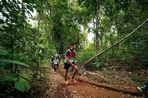 BIB: 
                            <button type="button" onclick="openModal(26812613)" class="btn btn-primary btn-sm float-right btn-popup" data-toggle="modal" data-target=".modal-high-quality">
                        <i class="fas fa-shopping-cart"></i> Add to Cart
                    </button>
                                            <button type="button" onclick="isThisMe(26812613, true)" class="btn btn-success btn-sm float-right btn-popup btn-isme hidden" data-toggle="tooltip" data-placement="bottom" title="นี่คือรูปของคุณใช่ไหม คลิกที่นี่เพื่อเอาเข้าอัลบั้ม">
                        <i class="fas fa-plus"></i> Add to album
                    </button>
                    <button type="button" onclick="isThisMe(26812613, false)" class="btn btn-warning btn-sm float-right btn-popup btn-isnotme hidden">
                        <i class="fas fa-ban"></i> Remove from album
                    </button>