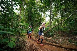 BIB: 
                            <button type="button" onclick="openModal(26811915)" class="btn btn-primary btn-sm float-right btn-popup" data-toggle="modal" data-target=".modal-high-quality">
                        <i class="fas fa-shopping-cart"></i> Add to Cart
                    </button>
                                            <button type="button" onclick="isThisMe(26811915, true)" class="btn btn-success btn-sm float-right btn-popup btn-isme hidden" data-toggle="tooltip" data-placement="bottom" title="นี่คือรูปของคุณใช่ไหม คลิกที่นี่เพื่อเอาเข้าอัลบั้ม">
                        <i class="fas fa-plus"></i> Add to album
                    </button>
                    <button type="button" onclick="isThisMe(26811915, false)" class="btn btn-warning btn-sm float-right btn-popup btn-isnotme hidden">
                        <i class="fas fa-ban"></i> Remove from album
                    </button>