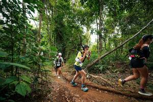 BIB: 
                            <button type="button" onclick="openModal(26812674)" class="btn btn-primary btn-sm float-right btn-popup" data-toggle="modal" data-target=".modal-high-quality">
                        <i class="fas fa-shopping-cart"></i> Add to Cart
                    </button>
                                            <button type="button" onclick="isThisMe(26812674, true)" class="btn btn-success btn-sm float-right btn-popup btn-isme hidden" data-toggle="tooltip" data-placement="bottom" title="นี่คือรูปของคุณใช่ไหม คลิกที่นี่เพื่อเอาเข้าอัลบั้ม">
                        <i class="fas fa-plus"></i> Add to album
                    </button>
                    <button type="button" onclick="isThisMe(26812674, false)" class="btn btn-warning btn-sm float-right btn-popup btn-isnotme hidden">
                        <i class="fas fa-ban"></i> Remove from album
                    </button>