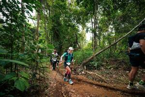 BIB: 
                            <button type="button" onclick="openModal(26811892)" class="btn btn-primary btn-sm float-right btn-popup" data-toggle="modal" data-target=".modal-high-quality">
                        <i class="fas fa-shopping-cart"></i> Add to Cart
                    </button>
                                            <button type="button" onclick="isThisMe(26811892, true)" class="btn btn-success btn-sm float-right btn-popup btn-isme hidden" data-toggle="tooltip" data-placement="bottom" title="นี่คือรูปของคุณใช่ไหม คลิกที่นี่เพื่อเอาเข้าอัลบั้ม">
                        <i class="fas fa-plus"></i> Add to album
                    </button>
                    <button type="button" onclick="isThisMe(26811892, false)" class="btn btn-warning btn-sm float-right btn-popup btn-isnotme hidden">
                        <i class="fas fa-ban"></i> Remove from album
                    </button>