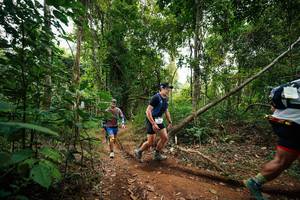 BIB: 
                            <button type="button" onclick="openModal(26810557)" class="btn btn-primary btn-sm float-right btn-popup" data-toggle="modal" data-target=".modal-high-quality">
                        <i class="fas fa-shopping-cart"></i> Add to Cart
                    </button>
                                            <button type="button" onclick="isThisMe(26810557, true)" class="btn btn-success btn-sm float-right btn-popup btn-isme hidden" data-toggle="tooltip" data-placement="bottom" title="นี่คือรูปของคุณใช่ไหม คลิกที่นี่เพื่อเอาเข้าอัลบั้ม">
                        <i class="fas fa-plus"></i> Add to album
                    </button>
                    <button type="button" onclick="isThisMe(26810557, false)" class="btn btn-warning btn-sm float-right btn-popup btn-isnotme hidden">
                        <i class="fas fa-ban"></i> Remove from album
                    </button>