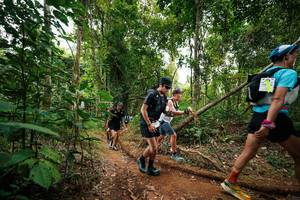 BIB: 
                            <button type="button" onclick="openModal(26812262)" class="btn btn-primary btn-sm float-right btn-popup" data-toggle="modal" data-target=".modal-high-quality">
                        <i class="fas fa-shopping-cart"></i> Add to Cart
                    </button>
                                            <button type="button" onclick="isThisMe(26812262, true)" class="btn btn-success btn-sm float-right btn-popup btn-isme hidden" data-toggle="tooltip" data-placement="bottom" title="นี่คือรูปของคุณใช่ไหม คลิกที่นี่เพื่อเอาเข้าอัลบั้ม">
                        <i class="fas fa-plus"></i> Add to album
                    </button>
                    <button type="button" onclick="isThisMe(26812262, false)" class="btn btn-warning btn-sm float-right btn-popup btn-isnotme hidden">
                        <i class="fas fa-ban"></i> Remove from album
                    </button>