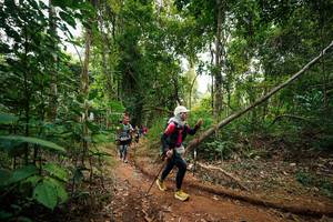 BIB: 
                            <button type="button" onclick="openModal(26812097)" class="btn btn-primary btn-sm float-right btn-popup" data-toggle="modal" data-target=".modal-high-quality">
                        <i class="fas fa-shopping-cart"></i> Add to Cart
                    </button>
                                            <button type="button" onclick="isThisMe(26812097, true)" class="btn btn-success btn-sm float-right btn-popup btn-isme hidden" data-toggle="tooltip" data-placement="bottom" title="นี่คือรูปของคุณใช่ไหม คลิกที่นี่เพื่อเอาเข้าอัลบั้ม">
                        <i class="fas fa-plus"></i> Add to album
                    </button>
                    <button type="button" onclick="isThisMe(26812097, false)" class="btn btn-warning btn-sm float-right btn-popup btn-isnotme hidden">
                        <i class="fas fa-ban"></i> Remove from album
                    </button>