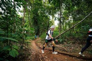 BIB: 
                            <button type="button" onclick="openModal(26810750)" class="btn btn-primary btn-sm float-right btn-popup" data-toggle="modal" data-target=".modal-high-quality">
                        <i class="fas fa-shopping-cart"></i> Add to Cart
                    </button>
                                            <button type="button" onclick="isThisMe(26810750, true)" class="btn btn-success btn-sm float-right btn-popup btn-isme hidden" data-toggle="tooltip" data-placement="bottom" title="นี่คือรูปของคุณใช่ไหม คลิกที่นี่เพื่อเอาเข้าอัลบั้ม">
                        <i class="fas fa-plus"></i> Add to album
                    </button>
                    <button type="button" onclick="isThisMe(26810750, false)" class="btn btn-warning btn-sm float-right btn-popup btn-isnotme hidden">
                        <i class="fas fa-ban"></i> Remove from album
                    </button>