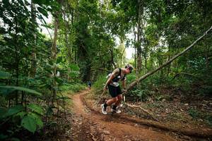 BIB: 
                            <button type="button" onclick="openModal(26811404)" class="btn btn-primary btn-sm float-right btn-popup" data-toggle="modal" data-target=".modal-high-quality">
                        <i class="fas fa-shopping-cart"></i> Add to Cart
                    </button>
                                            <button type="button" onclick="isThisMe(26811404, true)" class="btn btn-success btn-sm float-right btn-popup btn-isme hidden" data-toggle="tooltip" data-placement="bottom" title="นี่คือรูปของคุณใช่ไหม คลิกที่นี่เพื่อเอาเข้าอัลบั้ม">
                        <i class="fas fa-plus"></i> Add to album
                    </button>
                    <button type="button" onclick="isThisMe(26811404, false)" class="btn btn-warning btn-sm float-right btn-popup btn-isnotme hidden">
                        <i class="fas fa-ban"></i> Remove from album
                    </button>