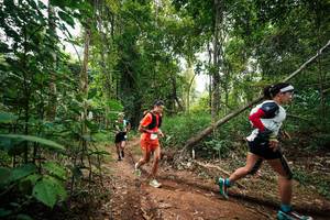 BIB: 
                            <button type="button" onclick="openModal(26808764)" class="btn btn-primary btn-sm float-right btn-popup" data-toggle="modal" data-target=".modal-high-quality">
                        <i class="fas fa-shopping-cart"></i> Add to Cart
                    </button>
                                            <button type="button" onclick="isThisMe(26808764, true)" class="btn btn-success btn-sm float-right btn-popup btn-isme hidden" data-toggle="tooltip" data-placement="bottom" title="นี่คือรูปของคุณใช่ไหม คลิกที่นี่เพื่อเอาเข้าอัลบั้ม">
                        <i class="fas fa-plus"></i> Add to album
                    </button>
                    <button type="button" onclick="isThisMe(26808764, false)" class="btn btn-warning btn-sm float-right btn-popup btn-isnotme hidden">
                        <i class="fas fa-ban"></i> Remove from album
                    </button>