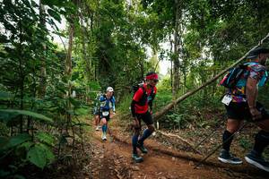 BIB: 
                            <button type="button" onclick="openModal(26811166)" class="btn btn-primary btn-sm float-right btn-popup" data-toggle="modal" data-target=".modal-high-quality">
                        <i class="fas fa-shopping-cart"></i> Add to Cart
                    </button>
                                            <button type="button" onclick="isThisMe(26811166, true)" class="btn btn-success btn-sm float-right btn-popup btn-isme hidden" data-toggle="tooltip" data-placement="bottom" title="นี่คือรูปของคุณใช่ไหม คลิกที่นี่เพื่อเอาเข้าอัลบั้ม">
                        <i class="fas fa-plus"></i> Add to album
                    </button>
                    <button type="button" onclick="isThisMe(26811166, false)" class="btn btn-warning btn-sm float-right btn-popup btn-isnotme hidden">
                        <i class="fas fa-ban"></i> Remove from album
                    </button>