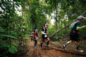 BIB: 
                            <button type="button" onclick="openModal(26813627)" class="btn btn-primary btn-sm float-right btn-popup" data-toggle="modal" data-target=".modal-high-quality">
                        <i class="fas fa-shopping-cart"></i> Add to Cart
                    </button>
                                            <button type="button" onclick="isThisMe(26813627, true)" class="btn btn-success btn-sm float-right btn-popup btn-isme hidden" data-toggle="tooltip" data-placement="bottom" title="นี่คือรูปของคุณใช่ไหม คลิกที่นี่เพื่อเอาเข้าอัลบั้ม">
                        <i class="fas fa-plus"></i> Add to album
                    </button>
                    <button type="button" onclick="isThisMe(26813627, false)" class="btn btn-warning btn-sm float-right btn-popup btn-isnotme hidden">
                        <i class="fas fa-ban"></i> Remove from album
                    </button>