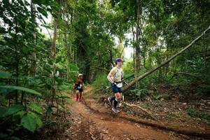 BIB: 
                            <button type="button" onclick="openModal(26811985)" class="btn btn-primary btn-sm float-right btn-popup" data-toggle="modal" data-target=".modal-high-quality">
                        <i class="fas fa-shopping-cart"></i> Add to Cart
                    </button>
                                            <button type="button" onclick="isThisMe(26811985, true)" class="btn btn-success btn-sm float-right btn-popup btn-isme hidden" data-toggle="tooltip" data-placement="bottom" title="นี่คือรูปของคุณใช่ไหม คลิกที่นี่เพื่อเอาเข้าอัลบั้ม">
                        <i class="fas fa-plus"></i> Add to album
                    </button>
                    <button type="button" onclick="isThisMe(26811985, false)" class="btn btn-warning btn-sm float-right btn-popup btn-isnotme hidden">
                        <i class="fas fa-ban"></i> Remove from album
                    </button>