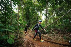 BIB: 
                            <button type="button" onclick="openModal(26813560)" class="btn btn-primary btn-sm float-right btn-popup" data-toggle="modal" data-target=".modal-high-quality">
                        <i class="fas fa-shopping-cart"></i> Add to Cart
                    </button>
                                            <button type="button" onclick="isThisMe(26813560, true)" class="btn btn-success btn-sm float-right btn-popup btn-isme hidden" data-toggle="tooltip" data-placement="bottom" title="นี่คือรูปของคุณใช่ไหม คลิกที่นี่เพื่อเอาเข้าอัลบั้ม">
                        <i class="fas fa-plus"></i> Add to album
                    </button>
                    <button type="button" onclick="isThisMe(26813560, false)" class="btn btn-warning btn-sm float-right btn-popup btn-isnotme hidden">
                        <i class="fas fa-ban"></i> Remove from album
                    </button>