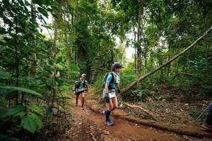 BIB: 
                            <button type="button" onclick="openModal(26812320)" class="btn btn-primary btn-sm float-right btn-popup" data-toggle="modal" data-target=".modal-high-quality">
                        <i class="fas fa-shopping-cart"></i> Add to Cart
                    </button>
                                            <button type="button" onclick="isThisMe(26812320, true)" class="btn btn-success btn-sm float-right btn-popup btn-isme hidden" data-toggle="tooltip" data-placement="bottom" title="นี่คือรูปของคุณใช่ไหม คลิกที่นี่เพื่อเอาเข้าอัลบั้ม">
                        <i class="fas fa-plus"></i> Add to album
                    </button>
                    <button type="button" onclick="isThisMe(26812320, false)" class="btn btn-warning btn-sm float-right btn-popup btn-isnotme hidden">
                        <i class="fas fa-ban"></i> Remove from album
                    </button>