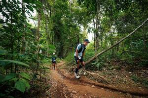 BIB: 
                            <button type="button" onclick="openModal(26813220)" class="btn btn-primary btn-sm float-right btn-popup" data-toggle="modal" data-target=".modal-high-quality">
                        <i class="fas fa-shopping-cart"></i> Add to Cart
                    </button>
                                            <button type="button" onclick="isThisMe(26813220, true)" class="btn btn-success btn-sm float-right btn-popup btn-isme hidden" data-toggle="tooltip" data-placement="bottom" title="นี่คือรูปของคุณใช่ไหม คลิกที่นี่เพื่อเอาเข้าอัลบั้ม">
                        <i class="fas fa-plus"></i> Add to album
                    </button>
                    <button type="button" onclick="isThisMe(26813220, false)" class="btn btn-warning btn-sm float-right btn-popup btn-isnotme hidden">
                        <i class="fas fa-ban"></i> Remove from album
                    </button>