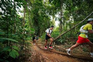 BIB: 
                            <button type="button" onclick="openModal(26811886)" class="btn btn-primary btn-sm float-right btn-popup" data-toggle="modal" data-target=".modal-high-quality">
                        <i class="fas fa-shopping-cart"></i> Add to Cart
                    </button>
                                            <button type="button" onclick="isThisMe(26811886, true)" class="btn btn-success btn-sm float-right btn-popup btn-isme hidden" data-toggle="tooltip" data-placement="bottom" title="นี่คือรูปของคุณใช่ไหม คลิกที่นี่เพื่อเอาเข้าอัลบั้ม">
                        <i class="fas fa-plus"></i> Add to album
                    </button>
                    <button type="button" onclick="isThisMe(26811886, false)" class="btn btn-warning btn-sm float-right btn-popup btn-isnotme hidden">
                        <i class="fas fa-ban"></i> Remove from album
                    </button>