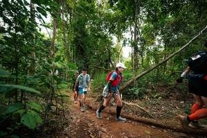 BIB: 
                            <button type="button" onclick="openModal(26810658)" class="btn btn-primary btn-sm float-right btn-popup" data-toggle="modal" data-target=".modal-high-quality">
                        <i class="fas fa-shopping-cart"></i> Add to Cart
                    </button>
                                            <button type="button" onclick="isThisMe(26810658, true)" class="btn btn-success btn-sm float-right btn-popup btn-isme hidden" data-toggle="tooltip" data-placement="bottom" title="นี่คือรูปของคุณใช่ไหม คลิกที่นี่เพื่อเอาเข้าอัลบั้ม">
                        <i class="fas fa-plus"></i> Add to album
                    </button>
                    <button type="button" onclick="isThisMe(26810658, false)" class="btn btn-warning btn-sm float-right btn-popup btn-isnotme hidden">
                        <i class="fas fa-ban"></i> Remove from album
                    </button>