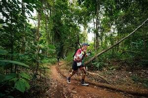 BIB: 
                            <button type="button" onclick="openModal(26811276)" class="btn btn-primary btn-sm float-right btn-popup" data-toggle="modal" data-target=".modal-high-quality">
                        <i class="fas fa-shopping-cart"></i> Add to Cart
                    </button>
                                            <button type="button" onclick="isThisMe(26811276, true)" class="btn btn-success btn-sm float-right btn-popup btn-isme hidden" data-toggle="tooltip" data-placement="bottom" title="นี่คือรูปของคุณใช่ไหม คลิกที่นี่เพื่อเอาเข้าอัลบั้ม">
                        <i class="fas fa-plus"></i> Add to album
                    </button>
                    <button type="button" onclick="isThisMe(26811276, false)" class="btn btn-warning btn-sm float-right btn-popup btn-isnotme hidden">
                        <i class="fas fa-ban"></i> Remove from album
                    </button>