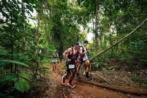 BIB: 
                            <button type="button" onclick="openModal(26812354)" class="btn btn-primary btn-sm float-right btn-popup" data-toggle="modal" data-target=".modal-high-quality">
                        <i class="fas fa-shopping-cart"></i> Add to Cart
                    </button>
                                            <button type="button" onclick="isThisMe(26812354, true)" class="btn btn-success btn-sm float-right btn-popup btn-isme hidden" data-toggle="tooltip" data-placement="bottom" title="นี่คือรูปของคุณใช่ไหม คลิกที่นี่เพื่อเอาเข้าอัลบั้ม">
                        <i class="fas fa-plus"></i> Add to album
                    </button>
                    <button type="button" onclick="isThisMe(26812354, false)" class="btn btn-warning btn-sm float-right btn-popup btn-isnotme hidden">
                        <i class="fas fa-ban"></i> Remove from album
                    </button>