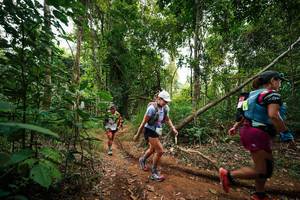 BIB: 
                            <button type="button" onclick="openModal(26810552)" class="btn btn-primary btn-sm float-right btn-popup" data-toggle="modal" data-target=".modal-high-quality">
                        <i class="fas fa-shopping-cart"></i> Add to Cart
                    </button>
                                            <button type="button" onclick="isThisMe(26810552, true)" class="btn btn-success btn-sm float-right btn-popup btn-isme hidden" data-toggle="tooltip" data-placement="bottom" title="นี่คือรูปของคุณใช่ไหม คลิกที่นี่เพื่อเอาเข้าอัลบั้ม">
                        <i class="fas fa-plus"></i> Add to album
                    </button>
                    <button type="button" onclick="isThisMe(26810552, false)" class="btn btn-warning btn-sm float-right btn-popup btn-isnotme hidden">
                        <i class="fas fa-ban"></i> Remove from album
                    </button>