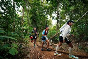 BIB: 
                            <button type="button" onclick="openModal(26812158)" class="btn btn-primary btn-sm float-right btn-popup" data-toggle="modal" data-target=".modal-high-quality">
                        <i class="fas fa-shopping-cart"></i> Add to Cart
                    </button>
                                            <button type="button" onclick="isThisMe(26812158, true)" class="btn btn-success btn-sm float-right btn-popup btn-isme hidden" data-toggle="tooltip" data-placement="bottom" title="นี่คือรูปของคุณใช่ไหม คลิกที่นี่เพื่อเอาเข้าอัลบั้ม">
                        <i class="fas fa-plus"></i> Add to album
                    </button>
                    <button type="button" onclick="isThisMe(26812158, false)" class="btn btn-warning btn-sm float-right btn-popup btn-isnotme hidden">
                        <i class="fas fa-ban"></i> Remove from album
                    </button>